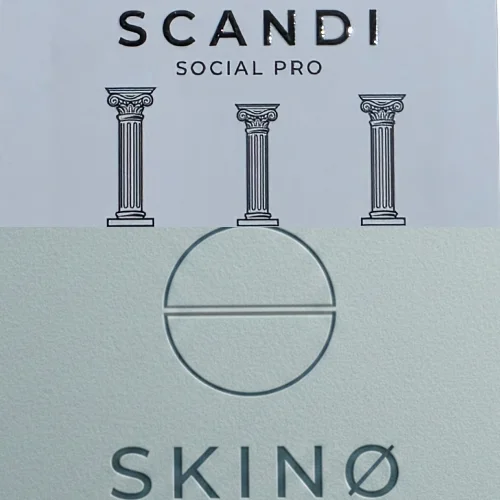 ScandiSocialPro - SKINØ logga